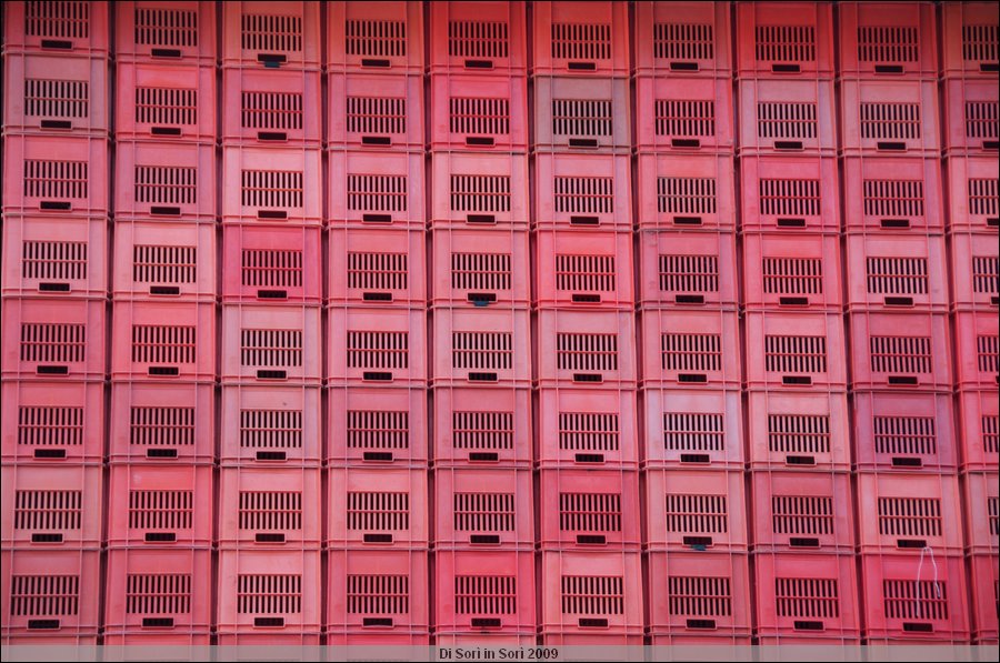 DSC_4395.jpg