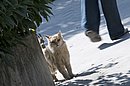 DSC_4289.jpg