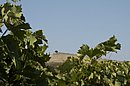 DSC_4324.jpg