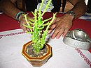 0163_IMG_6128.JPG