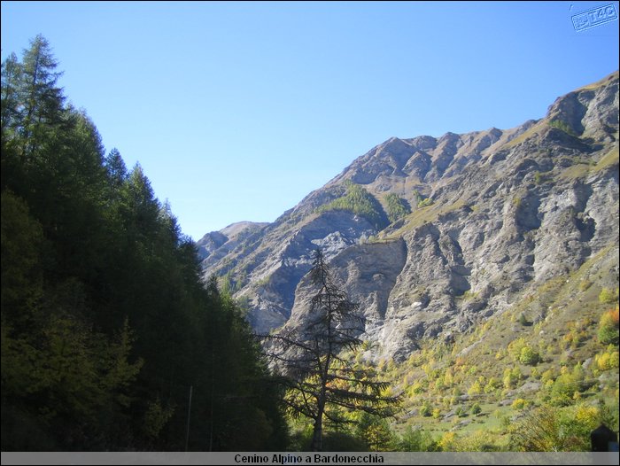 Cenino Alpino_0004.JPG