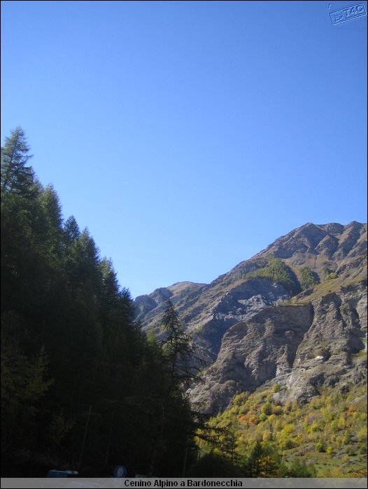 Cenino Alpino_0005.JPG