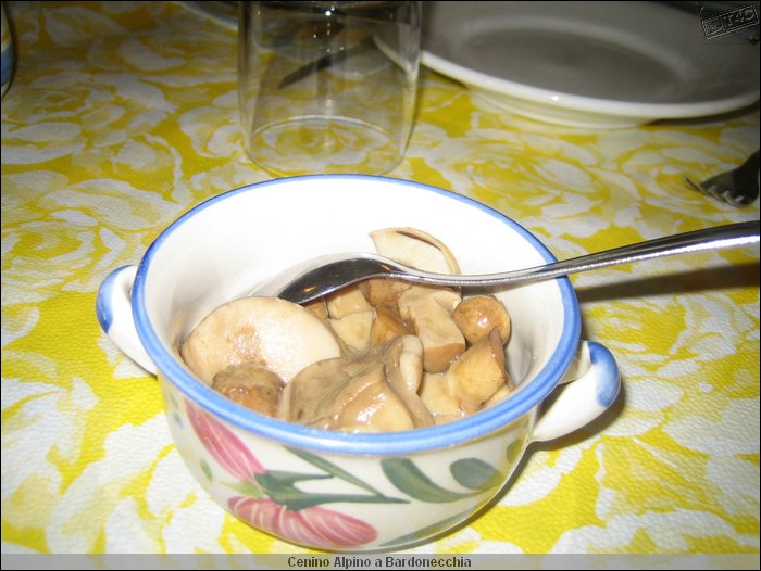Cenino Alpino_0006.JPG