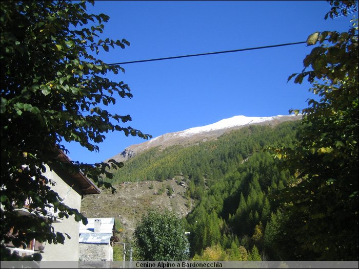 Cenino Alpino_0033.JPG