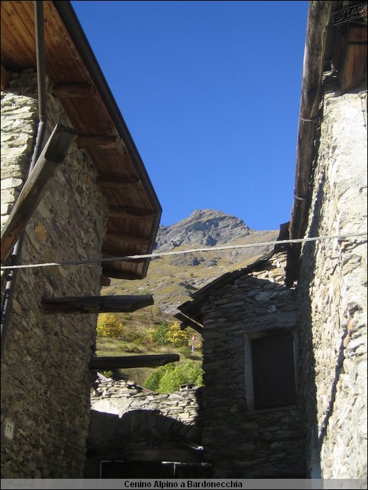Cenino Alpino_0072.JPG