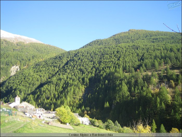 Cenino Alpino_0076.JPG