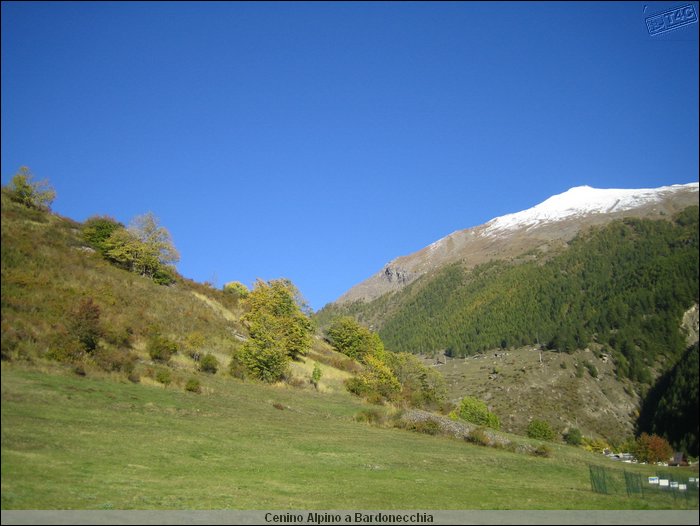 Cenino Alpino_0077.JPG