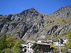 Cenino Alpino_0002.JPG