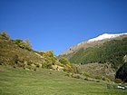 Cenino Alpino_0077.JPG