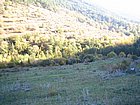 Cenino Alpino_0082.JPG