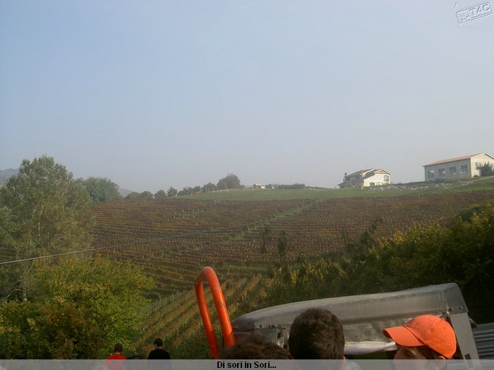 PICT0776.JPG