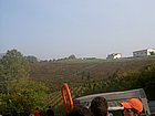 PICT0776.JPG