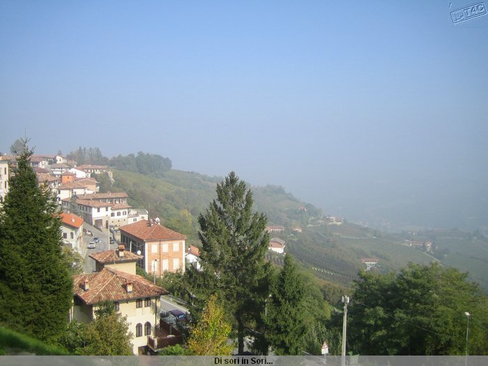 I Sr di Diano d'Alba_0015.JPG