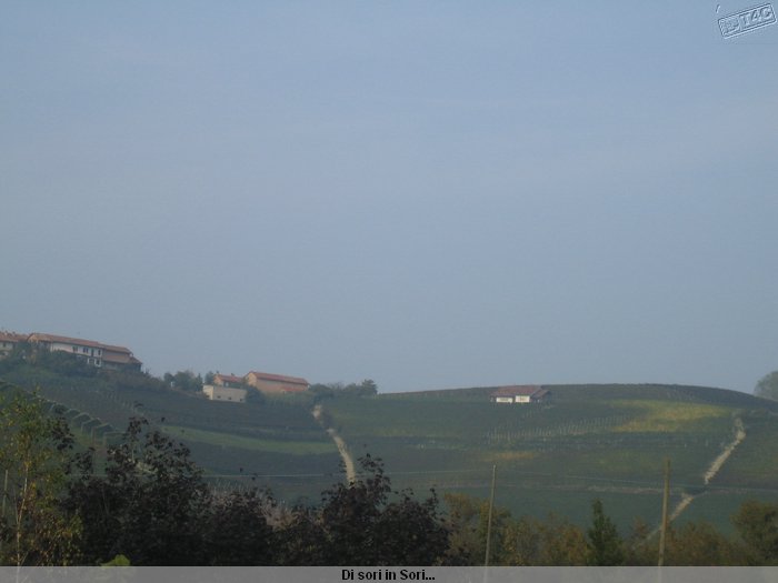 I Sr di Diano d'Alba_0064.JPG