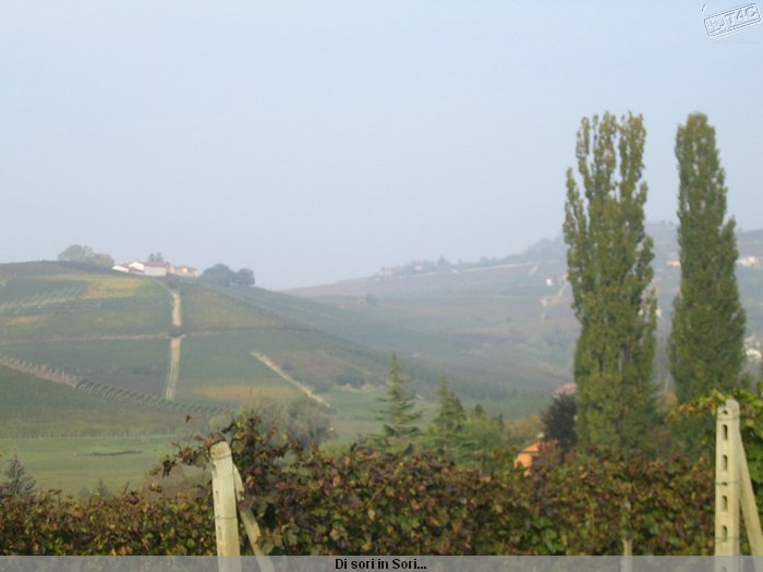 I Sr di Diano d'Alba_0066.JPG