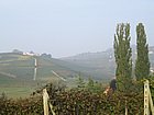 I Sr di Diano d'Alba_0066.JPG