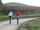 I Sr di Diano d'Alba_0067.JPG