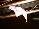 RIMG0152.JPG
